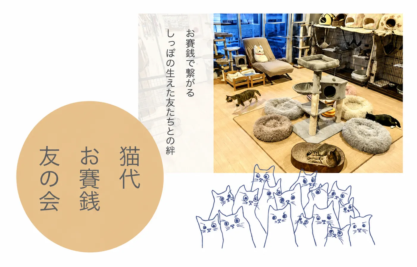 猫代お賽銭友の会 メインビジュアル